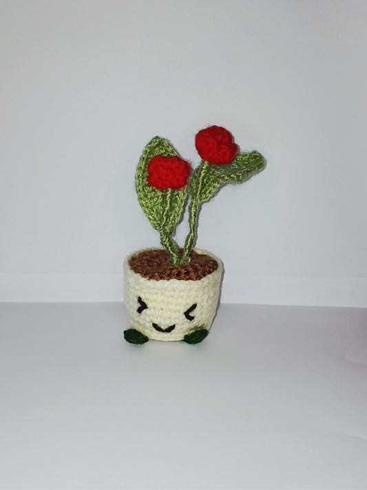 Evergreen Crochet Planter