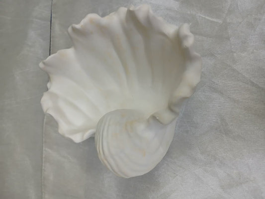 Ocean Whisper Shell Tray
